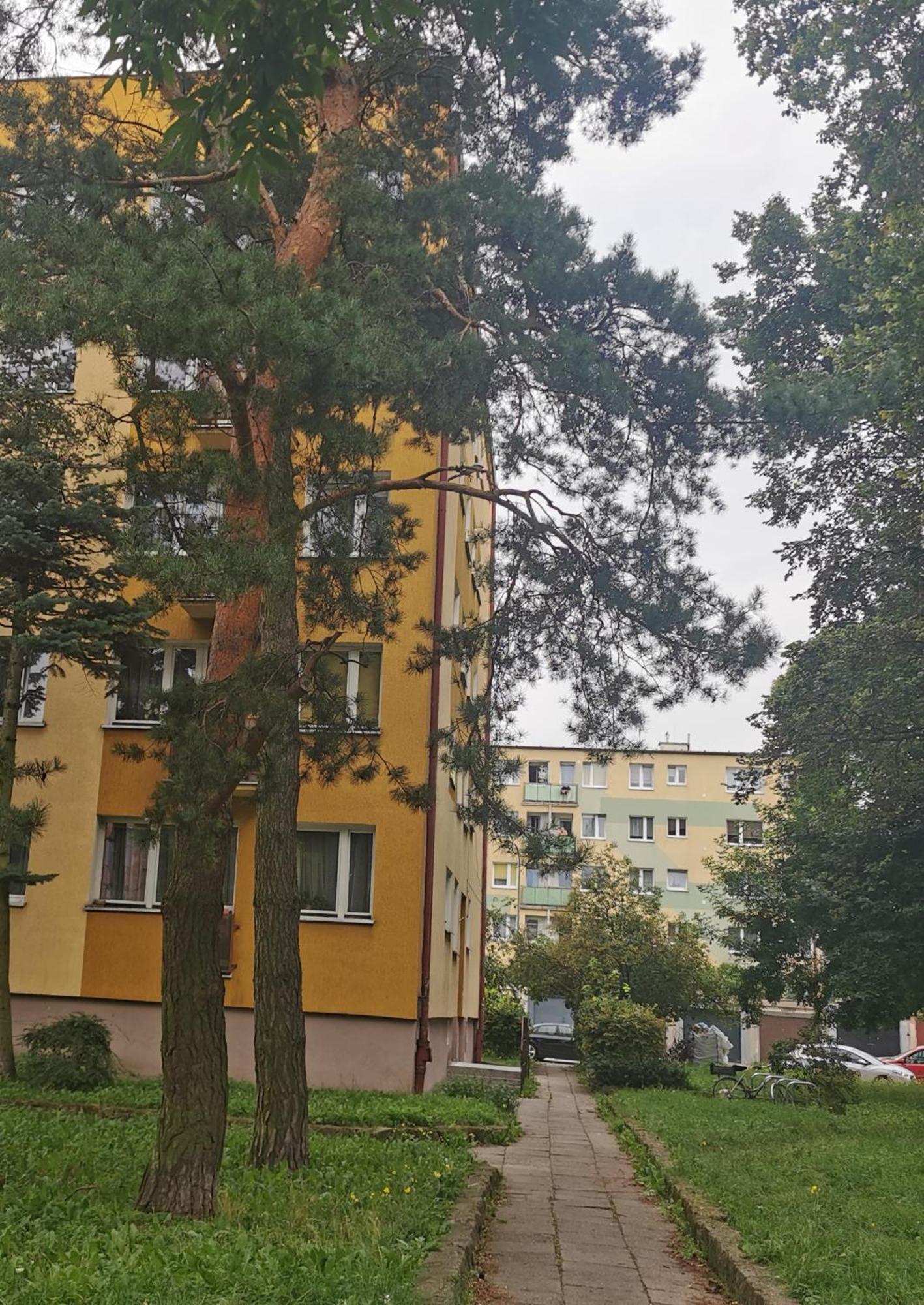 Mieszkanie Brzezno Przy Plazy Гданськ Екстер'єр фото